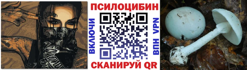 Галлюциногенные грибы Psilocybe  Юрюзань 
